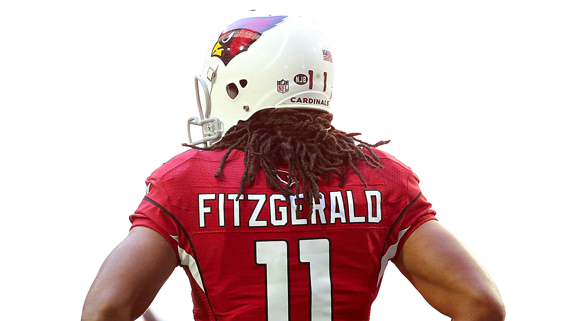 larry fitzgerald dog jersey