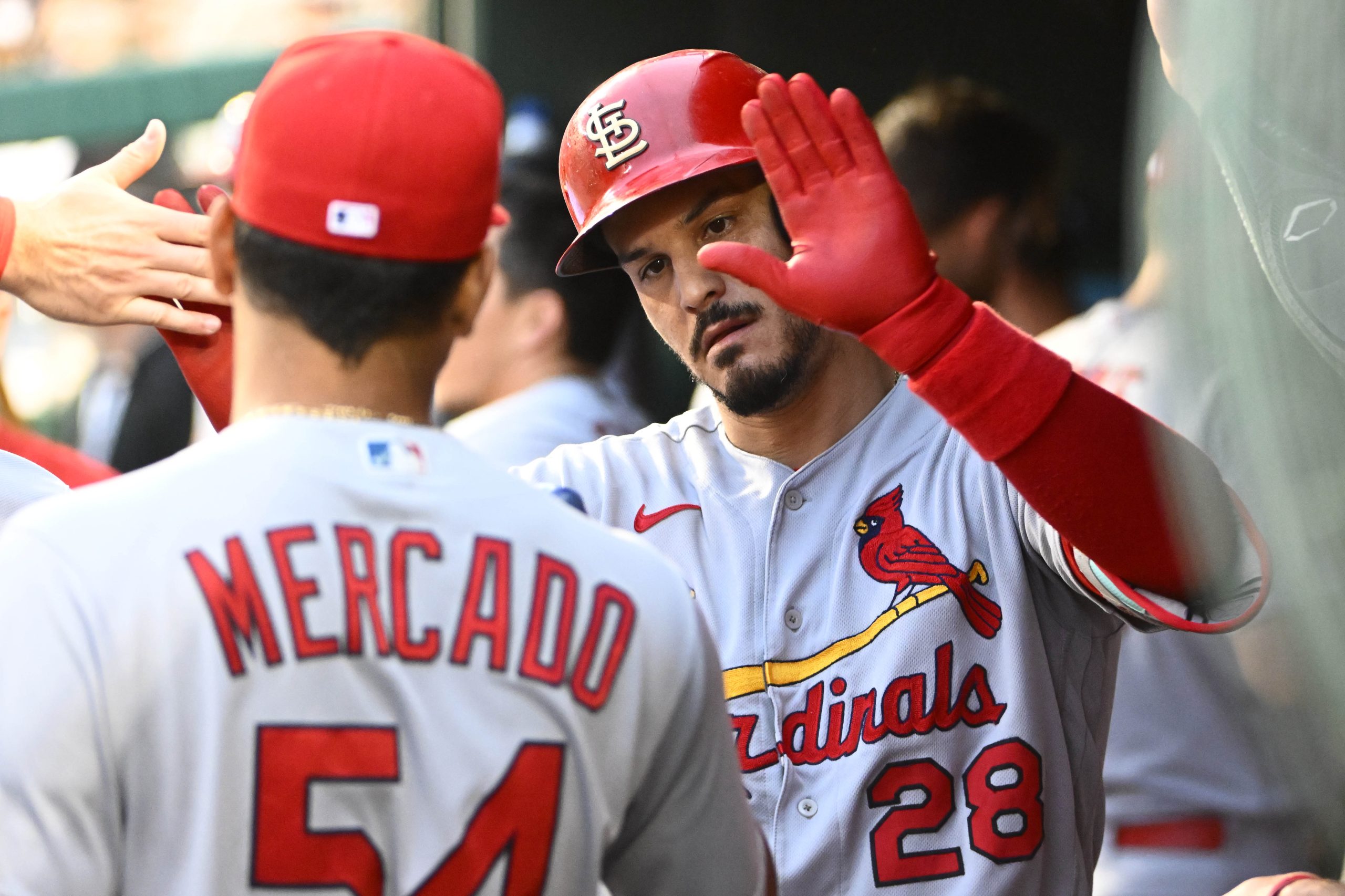 2023 St Louis Cardinals team profile Franchise history & all you need